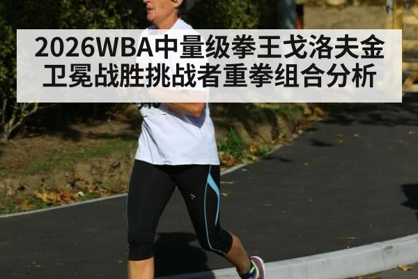 2026WBA中量级拳王戈洛夫金卫冕战胜挑战者重拳组合分析